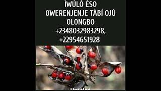 ÌWULO ÈSO OWERENJENJE FÚN ISEGUN OTA, +2348032983298, +22954651928, +2250506134943