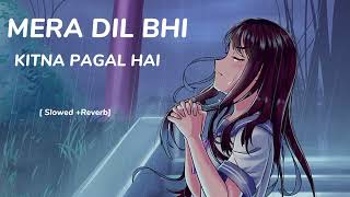 Mera Dil Bhi Kitna Pagal Hai || [Slowed+ Reverb] || Lofi Songs||#youtube #love