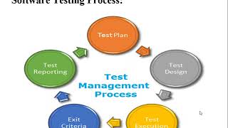 Test Management Process