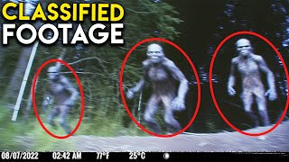 THIS Strange Footage Was Caught By a Hidden Trail Cam