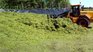 Metcalfe Farms Buckracking 1st cut silage