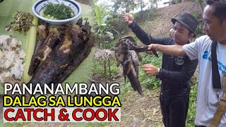 Pananambang ng Dalag sa Lungga (Dalag, Hito at Softshell Turtle) Catch \u0026 Cook - Spearfishing