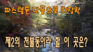 파스텔톤 아름다운 단풍으로 치장한 제2의 천불동이라 할 이곳은? / 심심해  EP.125