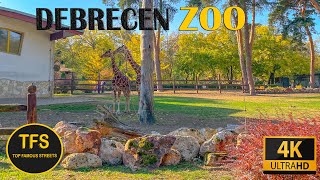 Debrecen zoo 2021