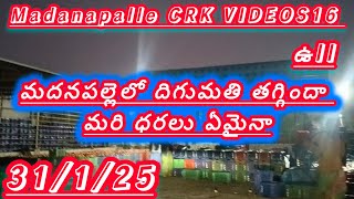 31/1/25 Madanapalle Tomato market stock today 🍅 మదనపల్లె టమోటారేట్లు #crkvideos16 #todaytomatorate