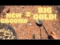 Big GOLD Nuggets! Detecting new ground in outback Western Australia pays off for the boys!