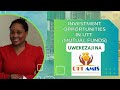 Uwekezaji na UTT - AMIS | Achieve Finance