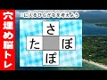 脳トレ【穴埋め脳トレ】【楽しく認知症予防！意外と悩む穴埋め脳トレ】高齢者必見のもの忘れ対策脳トレ！真ん中のマスに入るひらがなを考える脳トレ10問