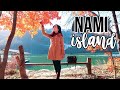 Must-See NAMI ISLAND in AUTUMN! | Korea Travel Vlog