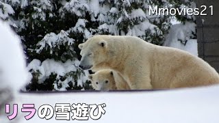 Polar Bear \