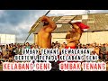 PERTEMUAN YANG MENGHIBUR DARI PEPADU OMBAK TENANG Vs KELABANG GENI || PERESEAN TERBARU LEKOR