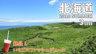 [ 北海道 夏のドライブ旅 ]　#3 知床でヒグマに遭遇 ～ 小清水原生花園 ～ 能取岬編です♪　レンタカーで7日間 北海道を縦横無尽に走り回りました♪