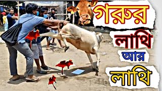 গরুর লাথি আর লাথি /🐄🐐🐫🐂/ funny viral video😄  গরুর বাজারে ভাইরাল ভিডিও // মজাই   মজা,,,