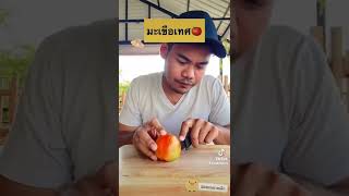 รีวิวมีดพกพาขนาดเล็ก