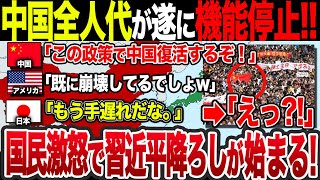 【ゆっくり解説】なぜ中国経済はもう手遅れと言われているのか？中国全人代が開催も、バブル崩壊の対策が全くされず、中国国民が大激怒！