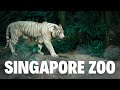 Singapore Zoo: Mandai Wildlife Reserve