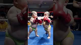 小拳拳捶你胸口的世纪对决！The Ultimate Toddler Boxing Showdown! #baby #cute #funny #babyboy #boxing #babyboy