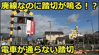 電車が通らない踏切。廃線なのに踏切が作動する！？鉄道珍スポット第18弾。