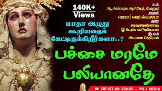 வியாகுல மாதா கண்கலங்கிப் பாடுவது போன்ற இப்பாடலைக் கேட்டாலே நெஞ்சம் துடிக்கிறதே | பச்சை மரமே | MLJ