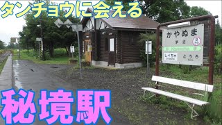 【秘境駅　電車の旅】無人駅　茅沼駅（北海道川上郡標茶町）