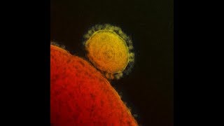 MERS: Should be the world be concerned?