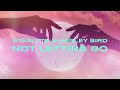 STARLYTE & Harley Bird - Not Letting Go (Official Lyric Video) | Chill Planet Release