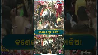 Lord Jagannath Sails With Devotees | Bahuda Jatra | Kanak News Shorts