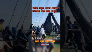 গভীর সমুদ্র থেকে জেলেরা কীভাবে মাছ ধরে দেখুন।