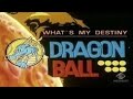 1 Hour / Un' Ora della sigla di Dragon Ball Z - What's My Destiny Dragon Ball