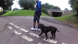 how many of these idiots look ,these are 30mph stevenage cyclepaths!!!