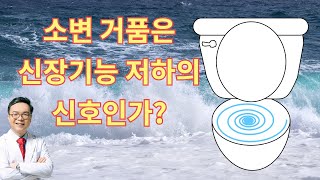 소변의 거품은 신장기능이 떨어지고 있다는 신호인가? 거품뇨와 콩팥기능