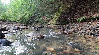 Telford T50 Trail, Stage 2: Ironbridge to Little Wenlock (and a bit extra)