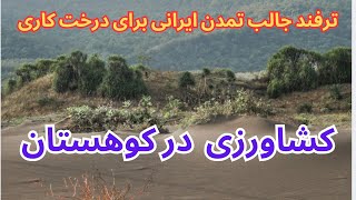 باغ میوه در دل بیابان و کوهستان خشک و خشن 🧑‍🌾 روش جالب برای تأمین آب و پرورش میوه در بدترین شرایط