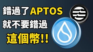 虛擬貨幣投資 I 錯過 APTOS $APT幣 就不要錯過這個幣!! I Sui空投擠爆了Sui Discord I 另一個Meta系明星公鏈 I 你參與了 Sui 空投了嗎？APT幣還能漲？