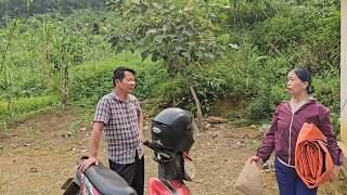 Mr. Ha made the decision not to look for his wife who left after learning the truth