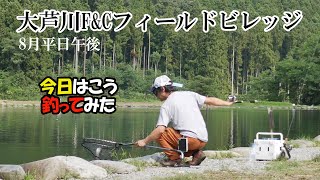 【エリアトラウト】栃木県大芦川F＆Cフィールドビレッジ_8月平日午後_地味系スプーンで組み立てた【大芦川F＆Cフィールドビレッジ】