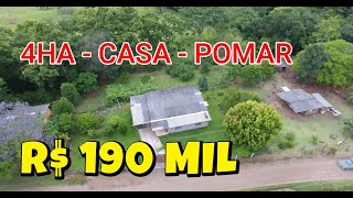 CHÁCARA NO RIOZINHO  4HA  CASA  GALPÃO  POMAR  PRÓXIMO DA CASCATA DO CHUVISQUEIRO   R$ 190 MIL