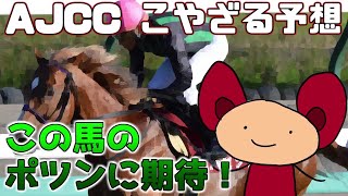 【AJCC】AJCCこやざる予想 この逃げ馬のポツンに期待するしかない！【バビット】