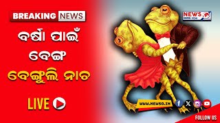 ରମ୍ଭାରେ ବର୍ଷା ପାଇଁ ବେଙ୍ଗ ବେଙ୍ଗୁଲି ନାଚ l