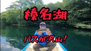 【群馬バス釣り】榛名湖バス釣り！バイト沢山！初心者でも！カップルでも！免許なくても楽しめます👍