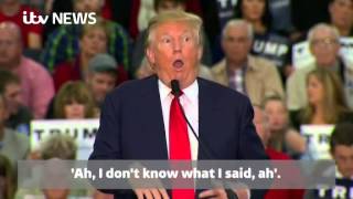 Donald Trump appears to mock a reporter's disability