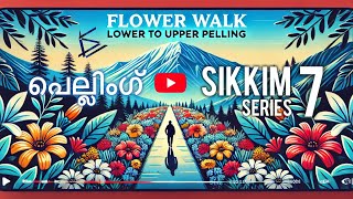 Pelling | A Blooming Journey | Walking from Lower to Upper Pelling | Sikkim Series 7 | SoHo Travels