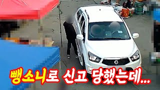 18429회. 밟고 지나가기를 기다리는 것 아닌가요?