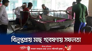 বদ্ধ জলাশয়ে প্রজননক্ষম হলো বিলুপ্তপ্রায় ১০ মাছের প্রজাতি | Fish research | Jamuna TV