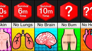 Comparison: Survival Without Organs