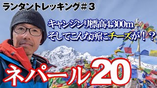 【ネパール２０】キャンジンリ4,300ｍ、目の前にはランタンリルン7,227ｍ、そしてチーズは⁉【ランタン】