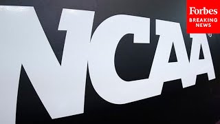 GOP Lawmaker Slams NCAA's Alleged Treatment Of Riley Gaines: 'She Couldn't Stand On The Podium'