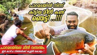 പാറമടയിൽ നിന്ന് കിട്ടിയ മീൻ |Fish farming|pond Fishing