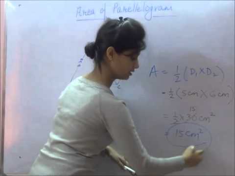 Area and Perimeter of Rhombus Area and Perimeter of Rhombus