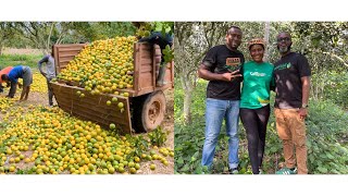 Why They Bought 500 Acres Of Orange Farms \u0026 Processing It To Stop Farmers From Cutting Down Trees.